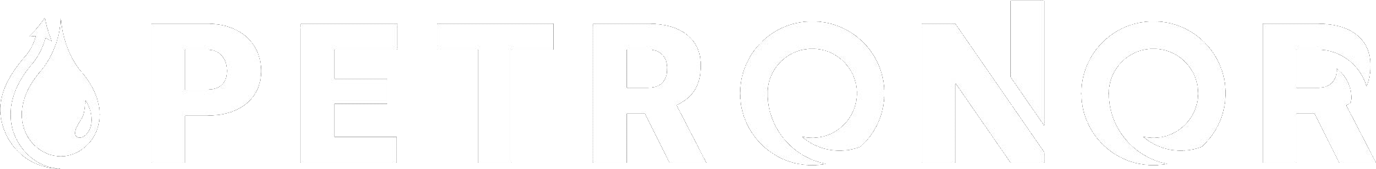 Petronor_LOGO_Blanc RVB